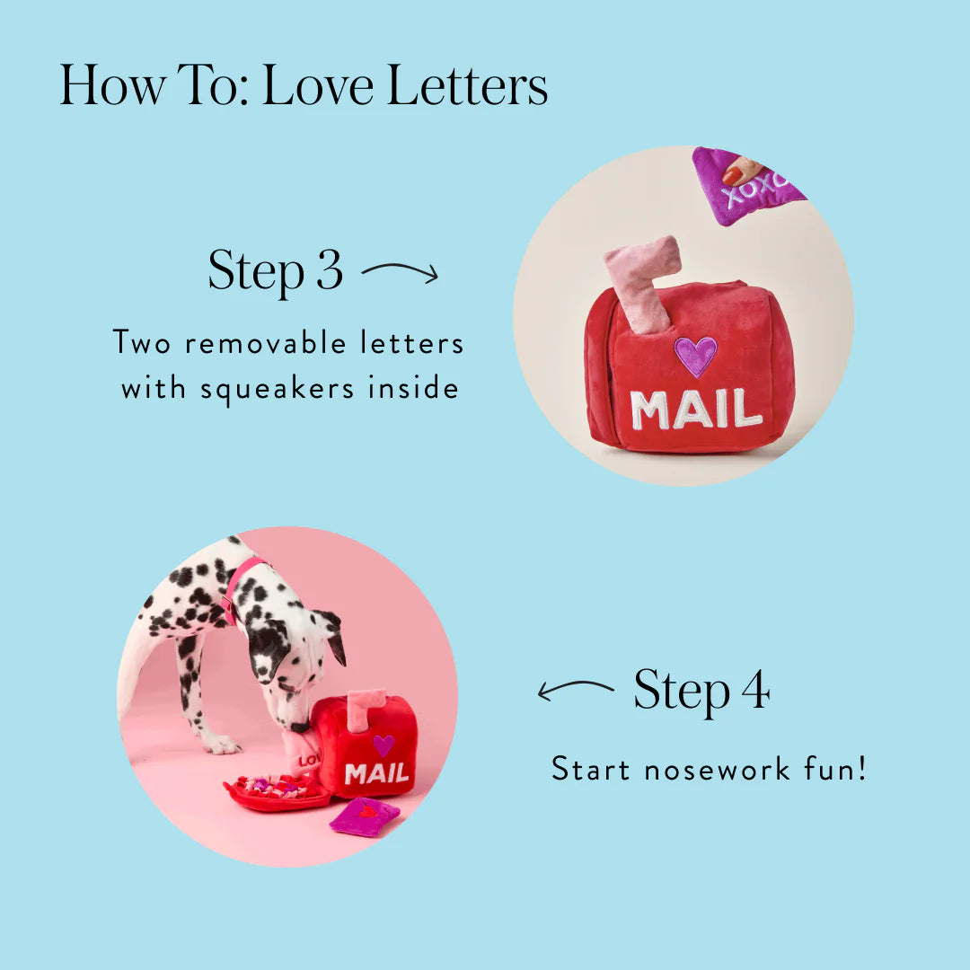 Love Letters Interactive Snuffle Dog Toy