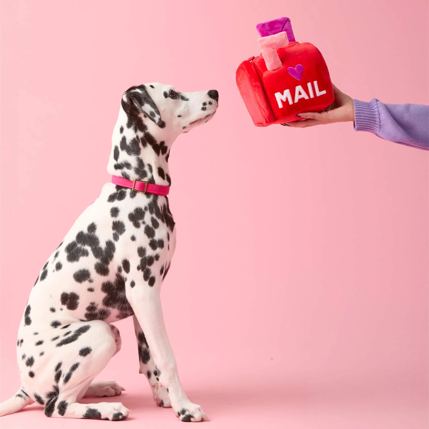 Love Letters Interactive Snuffle Dog Toy
