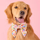 Margaux Lady Dog Bow for Collar