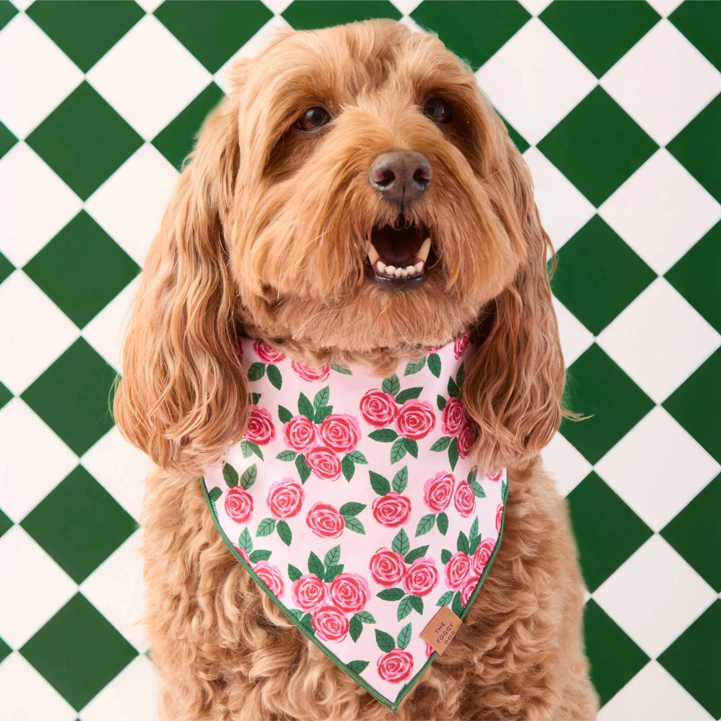 Rosette Dog Bandana