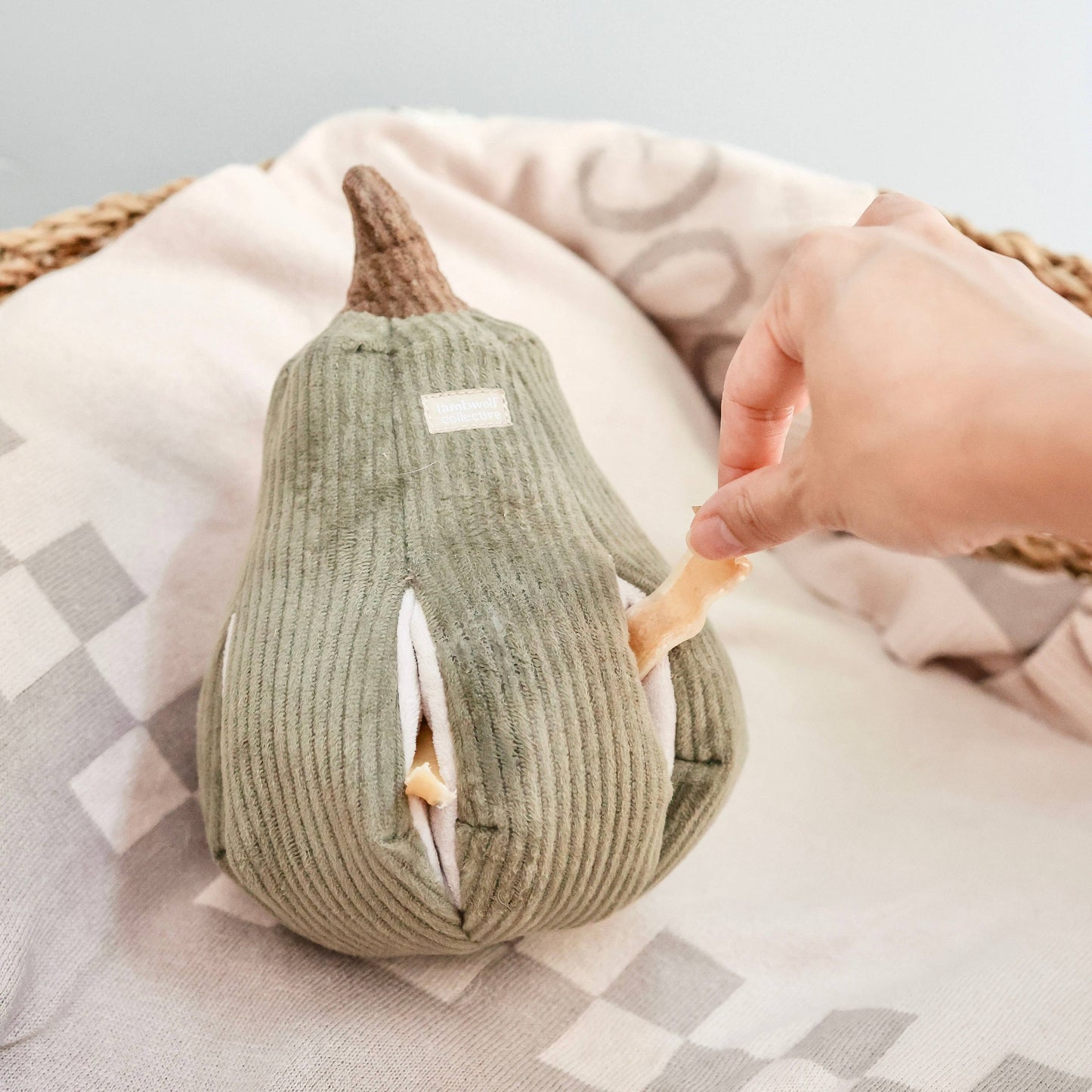 Butternut Squash Enrichment Dog Toy