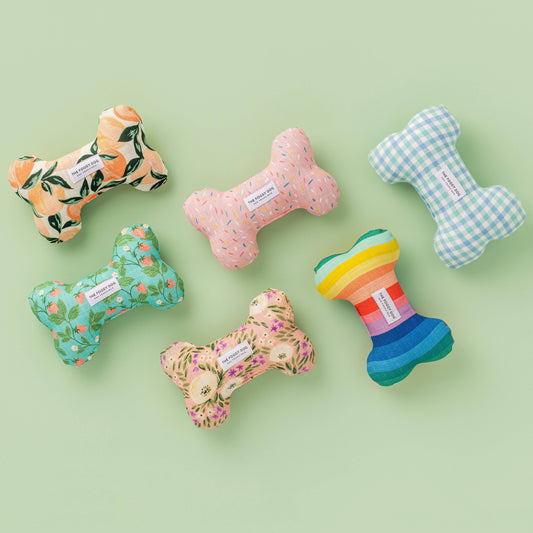 Dog Bone Squeaky Toy