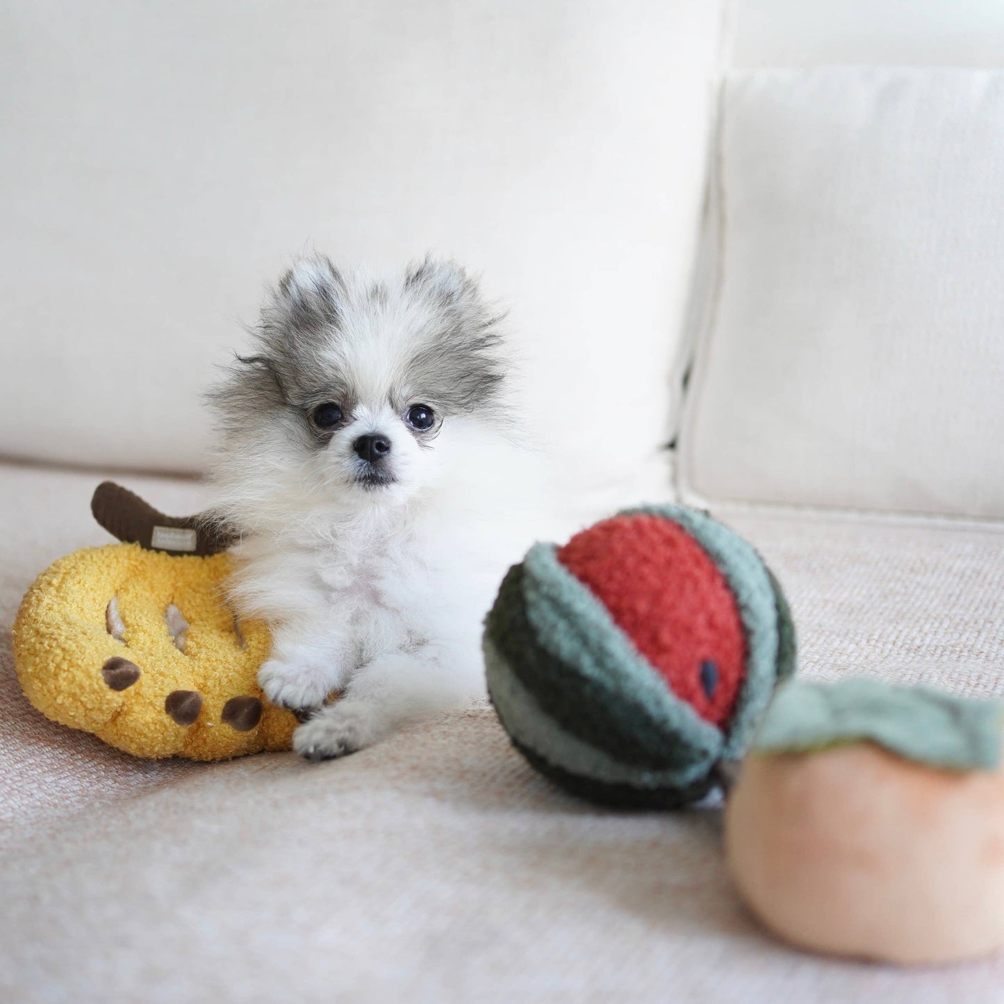 Watermelon Pop Enrichment Dog Toy
