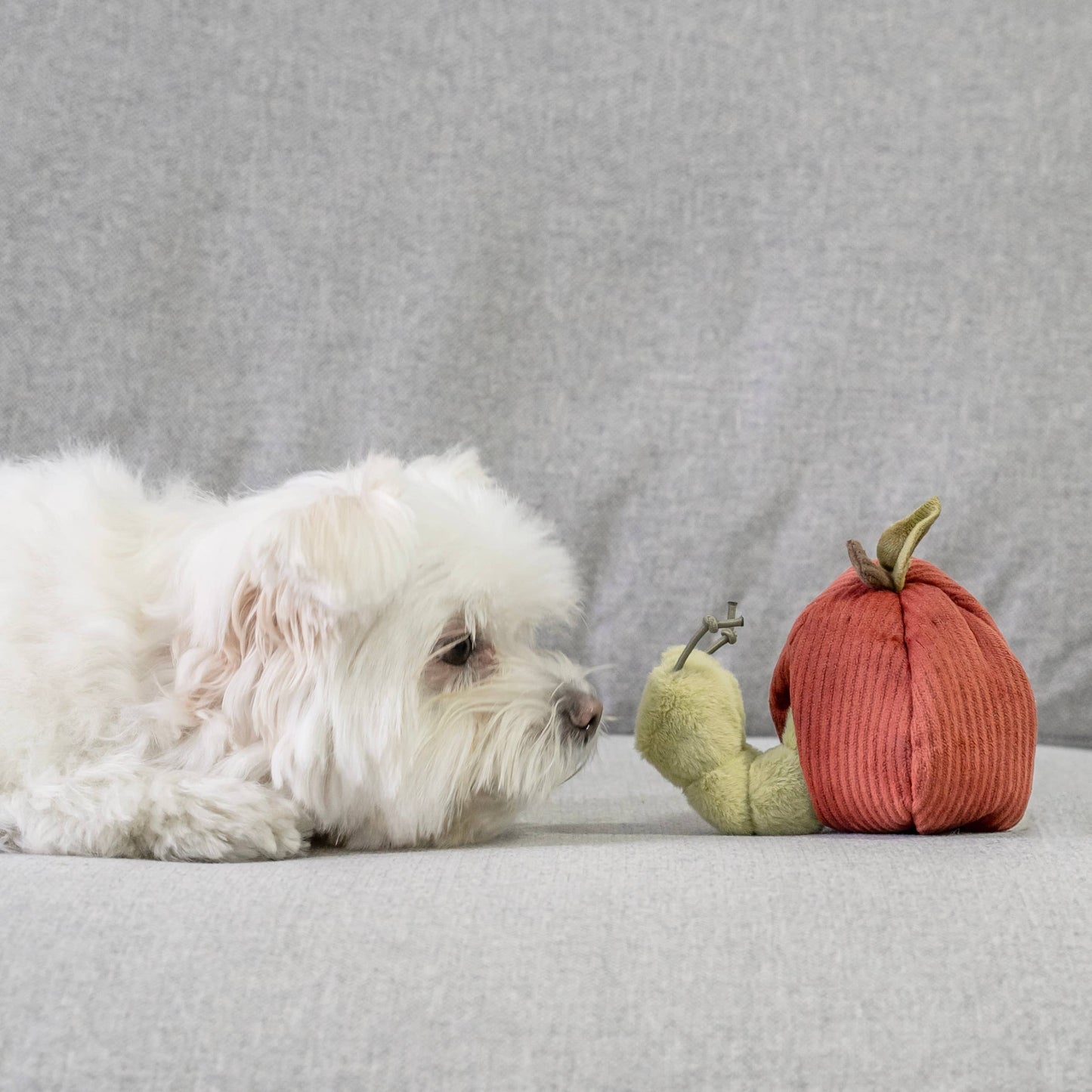Fruit Set of Enrichment Dog Toys