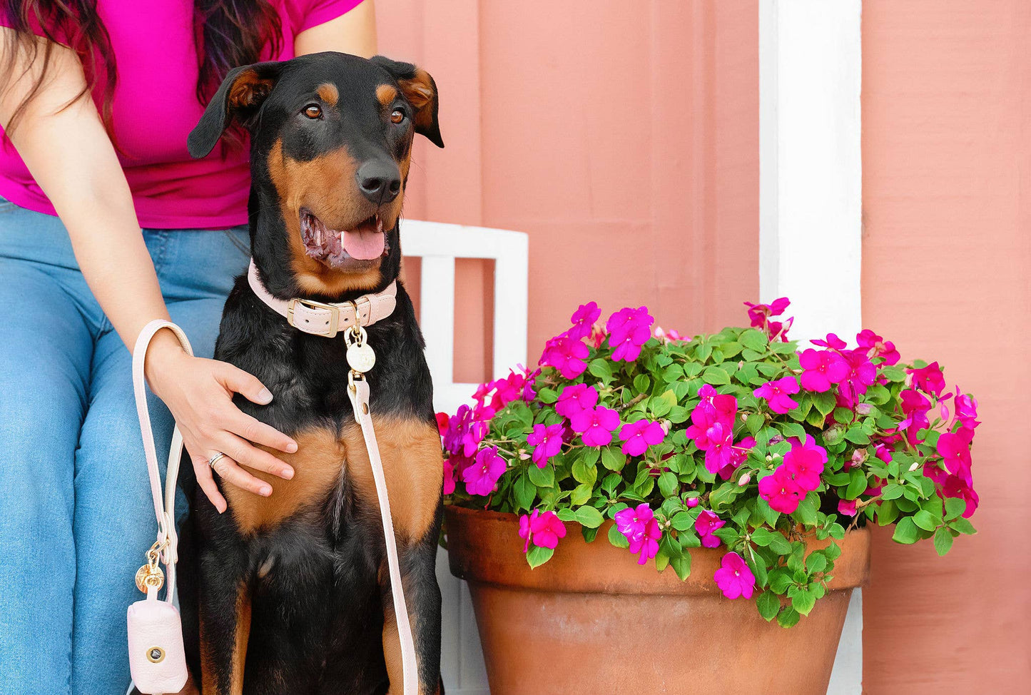 Blush Dog Collar