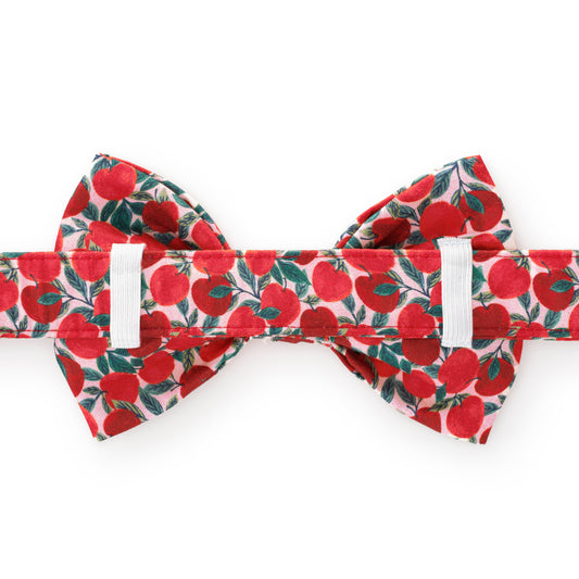 Apple of My Eye Fall Dog Bow Tie