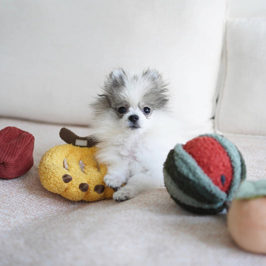 Fruit Set of Enrichment Dog Toys