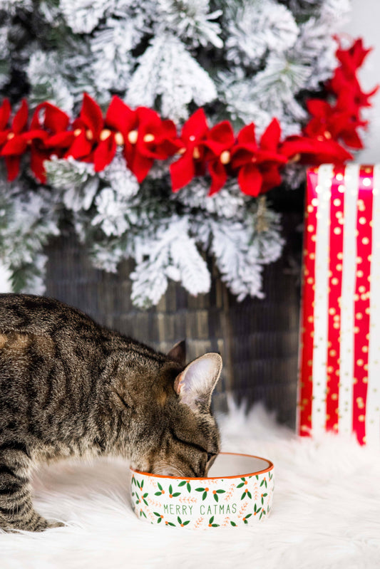Merry Catmas, Cat Holiday And Christmas Feeding Bowl
