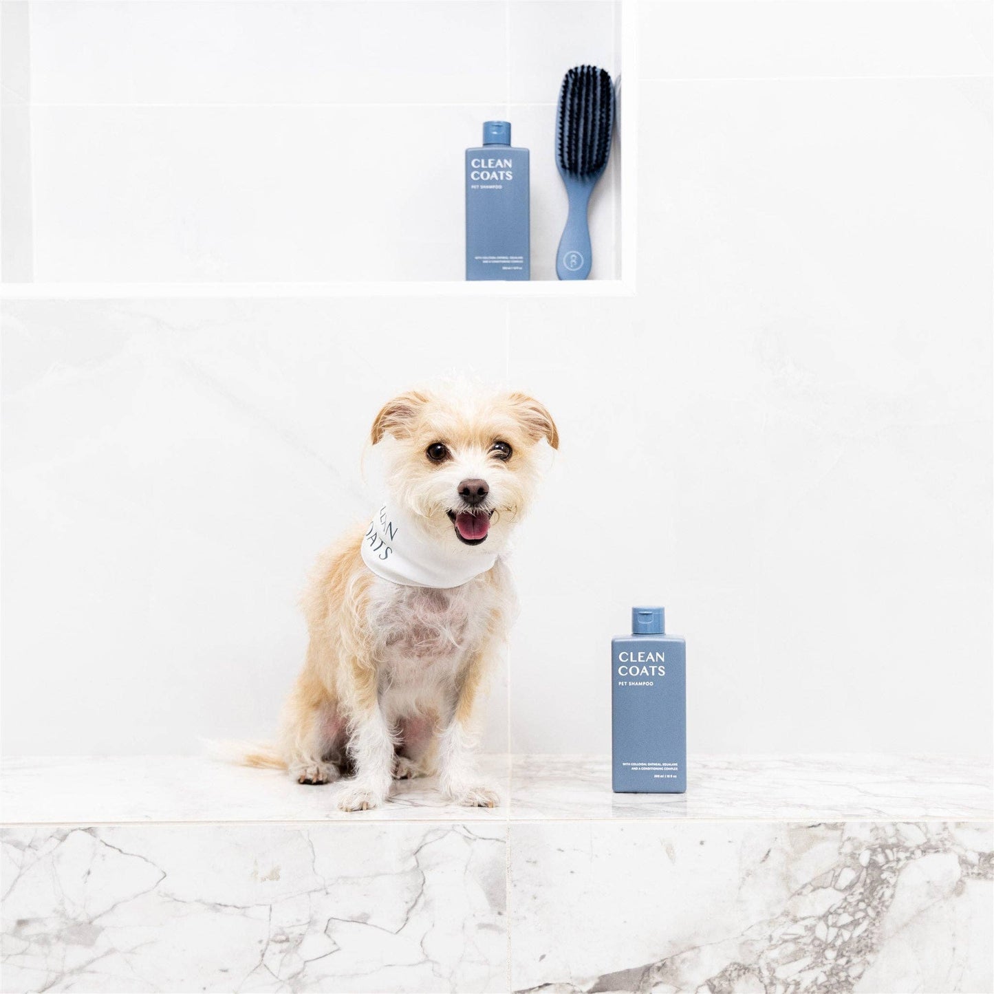 Dog Shampoo 2 in1 For Itching, Conditioning and Smelly Dogs