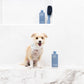 Dog Shampoo 2 in1 For Itching, Conditioning and Smelly Dogs