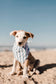 Cabana Blue Stripes  Dog Bandana