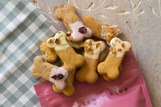 Fall Harvest Mix Biscuits - Fall Dog Biscuit Treats