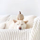 BOO! Pumpkin Enrichment Dog toy