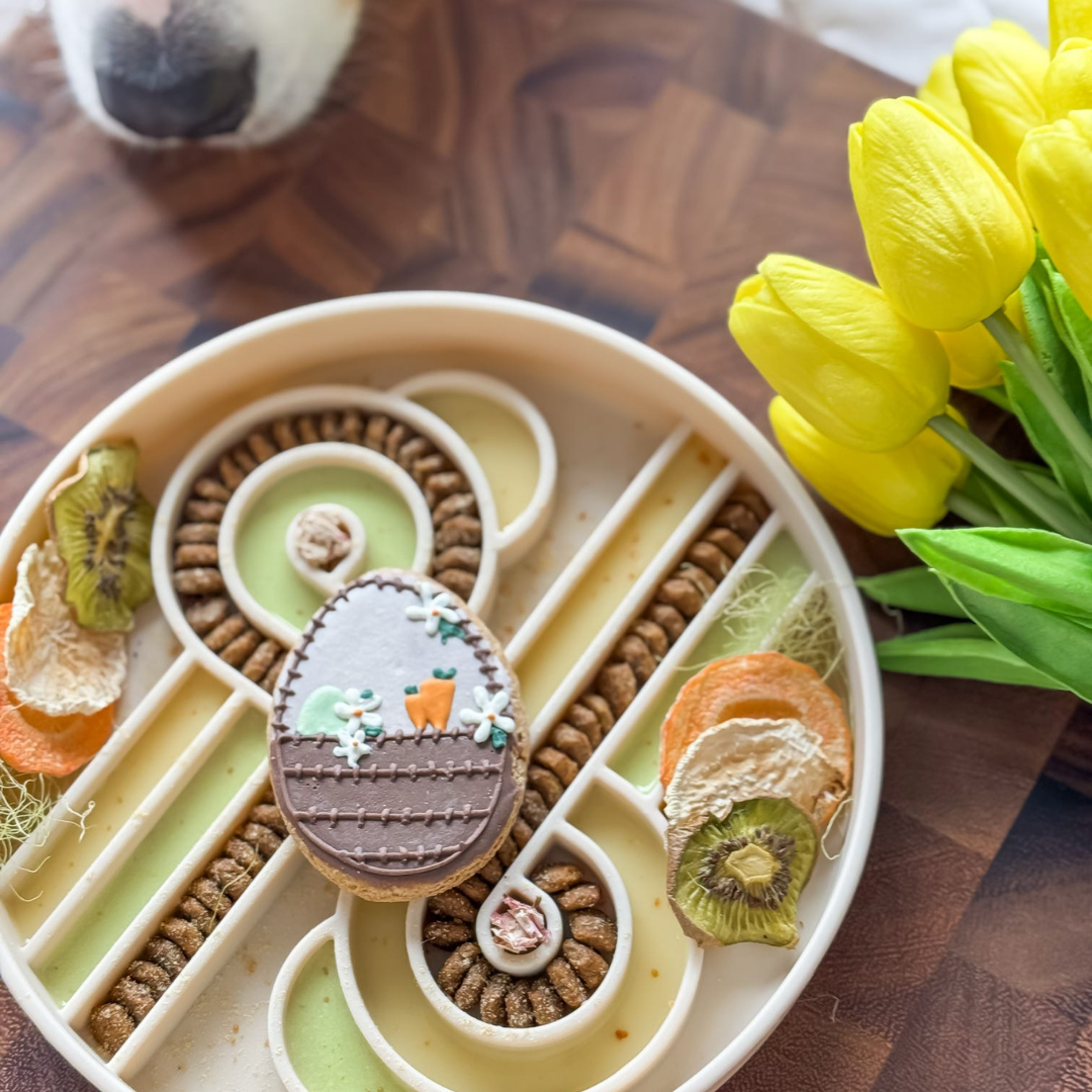 Zoomies slow feeder bowl | oatmeal