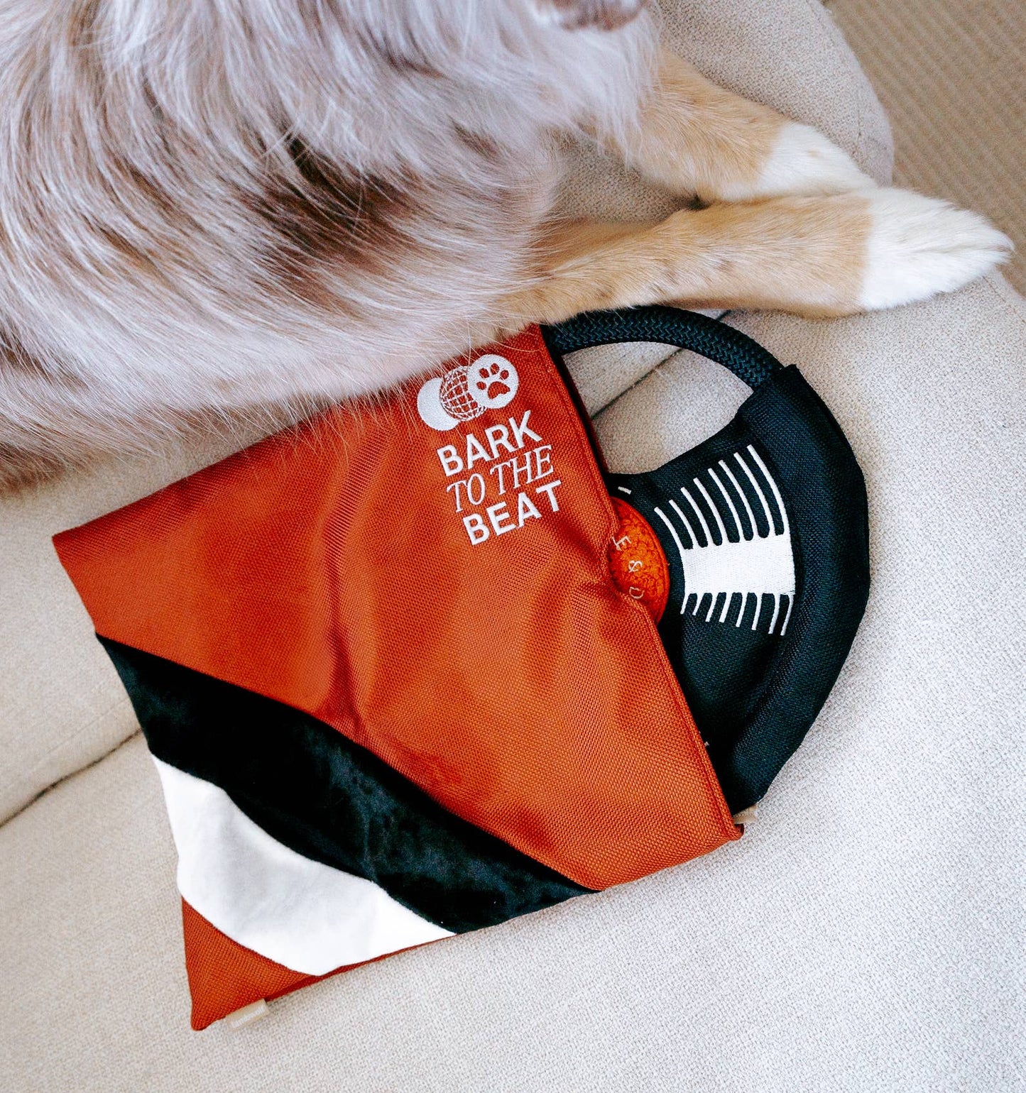 Record Dog Enrichment Toy