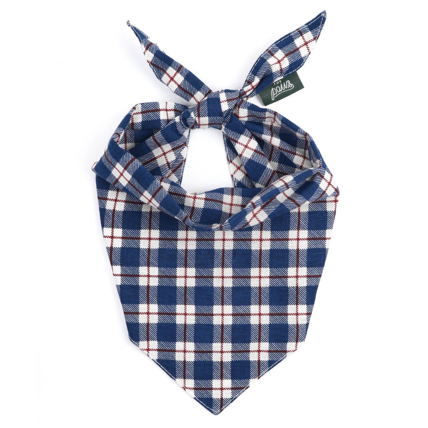 Apres Winter Dog Bandana