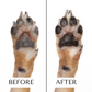 Dog Moisturizing Serum for Paws & Noses - Fast Absorbing