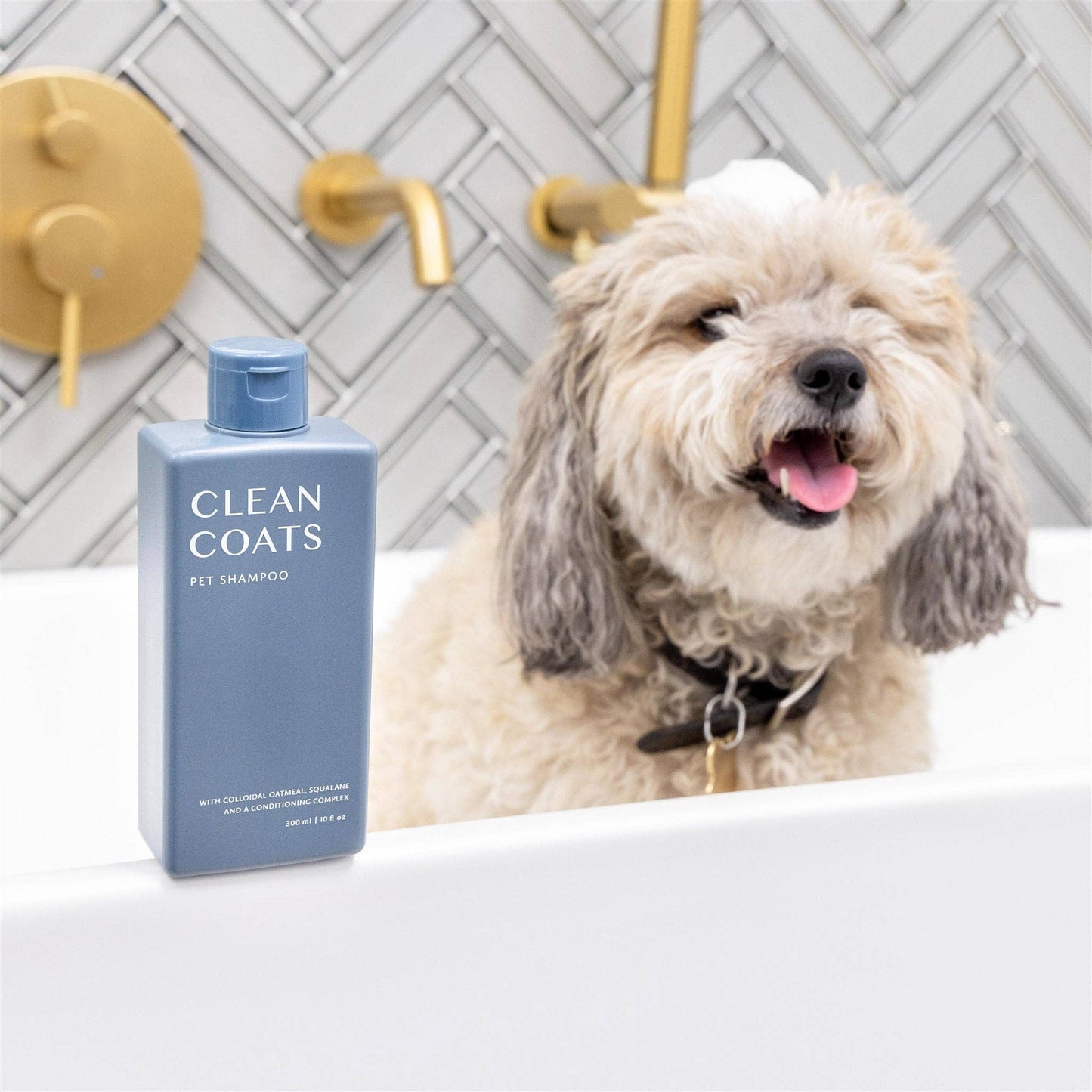 Dog Shampoo 2 in1 For Itching, Conditioning and Smelly Dogs