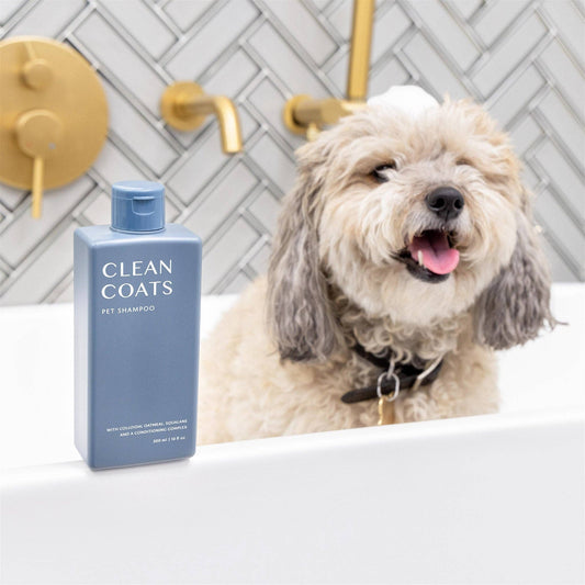 Dog Shampoo 2 in1 For Itching, Conditioning and Smelly Dogs