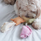 Ravioli Nosework Enrichment Toy