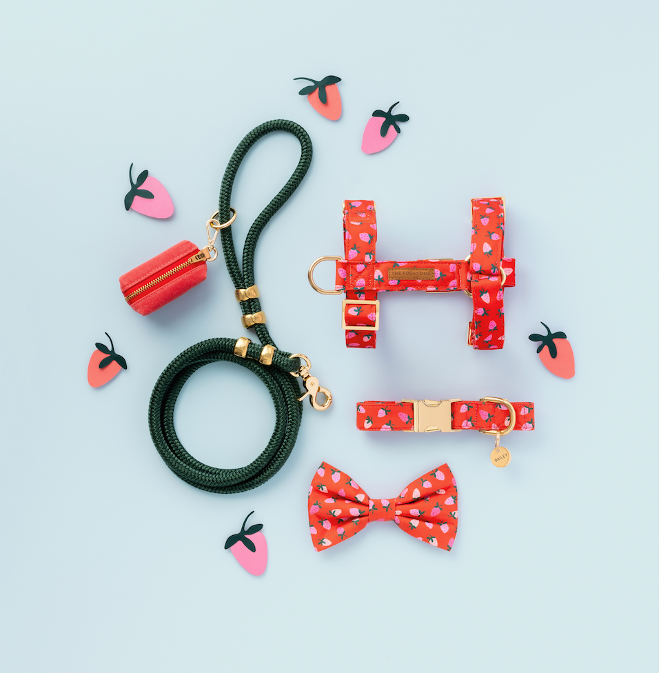 Berry Sweet Dog Collar