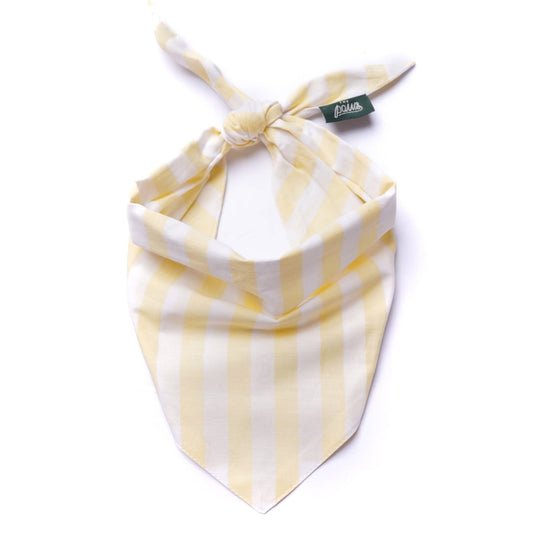 Butter Stripe  Dog Bandana