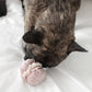 2-in-1 Petite Bakery Enrichment Dog Toy