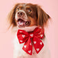 Hearts Embroidered Lady Dog Bow for Collar