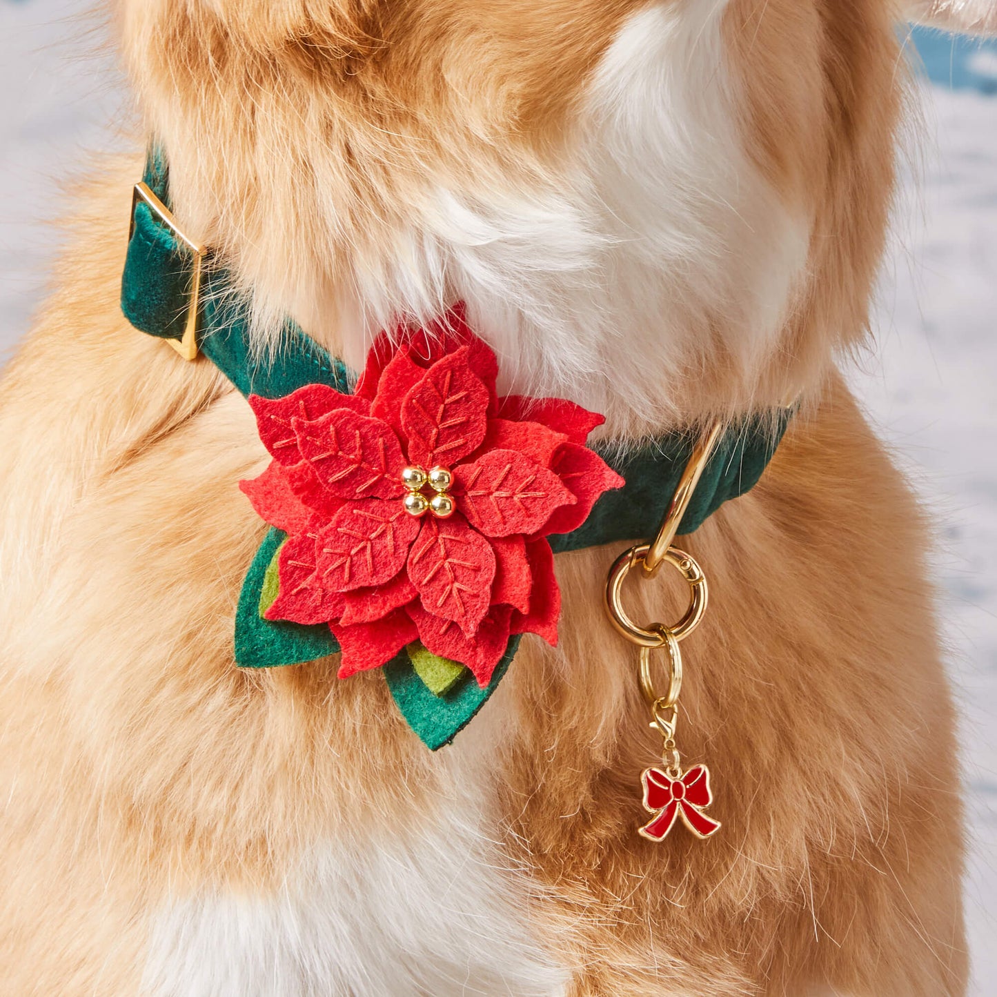 Poinsettia Dog Collar Flower