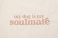 Tote Bag - my dog is my soulmate