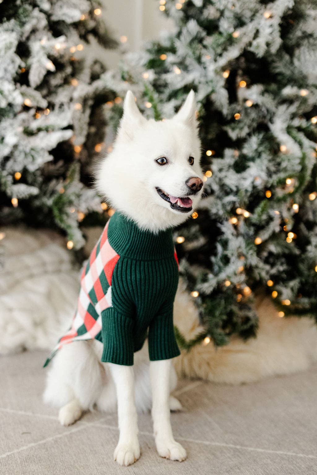 Rosy Plaid Dog Sweater