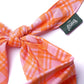Stevie Dog Bandana