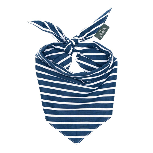 Everyday Stripe Dog Bandana