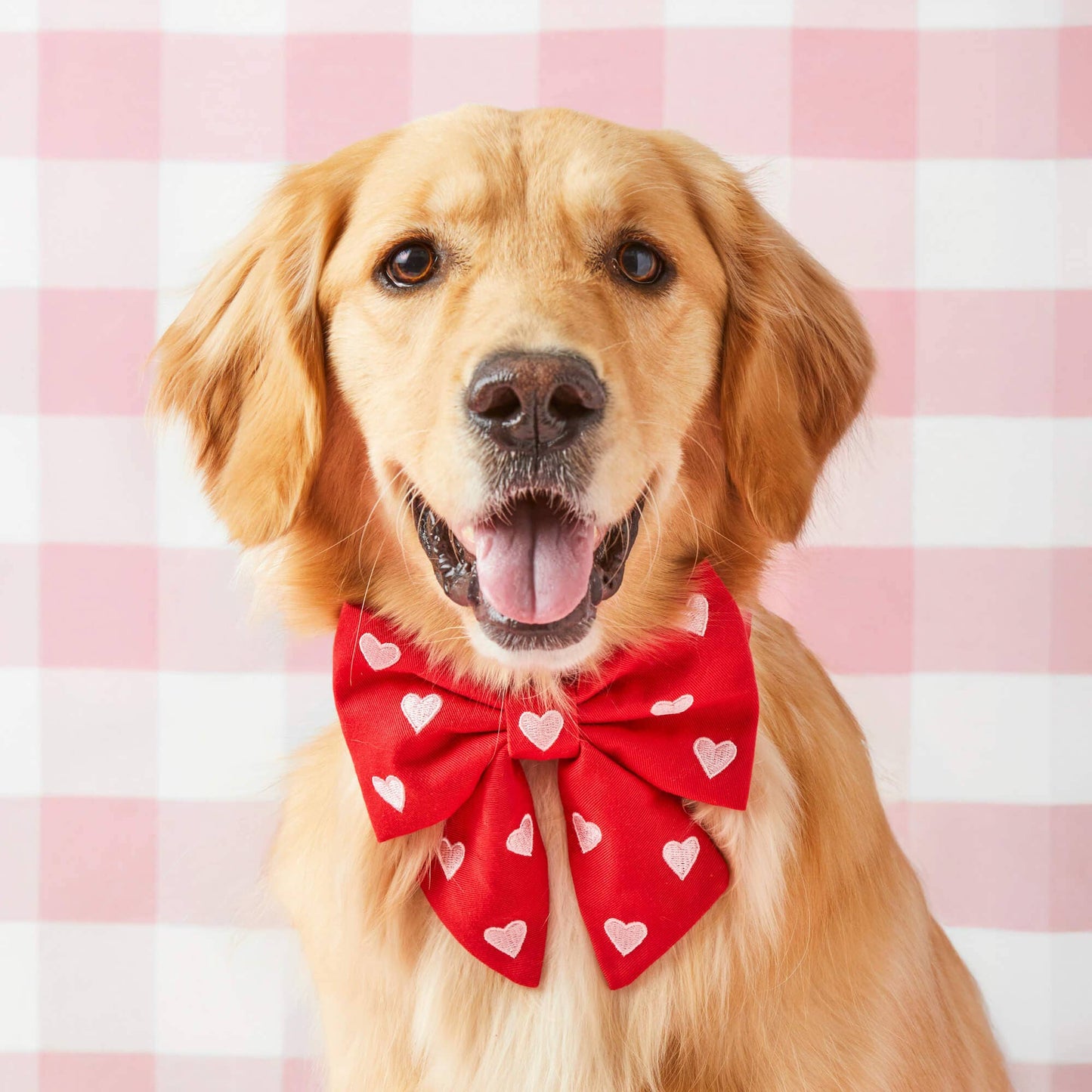 Hearts Embroidered Lady Dog Bow for Collar