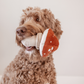 Shroom Enrichment Dog Toy