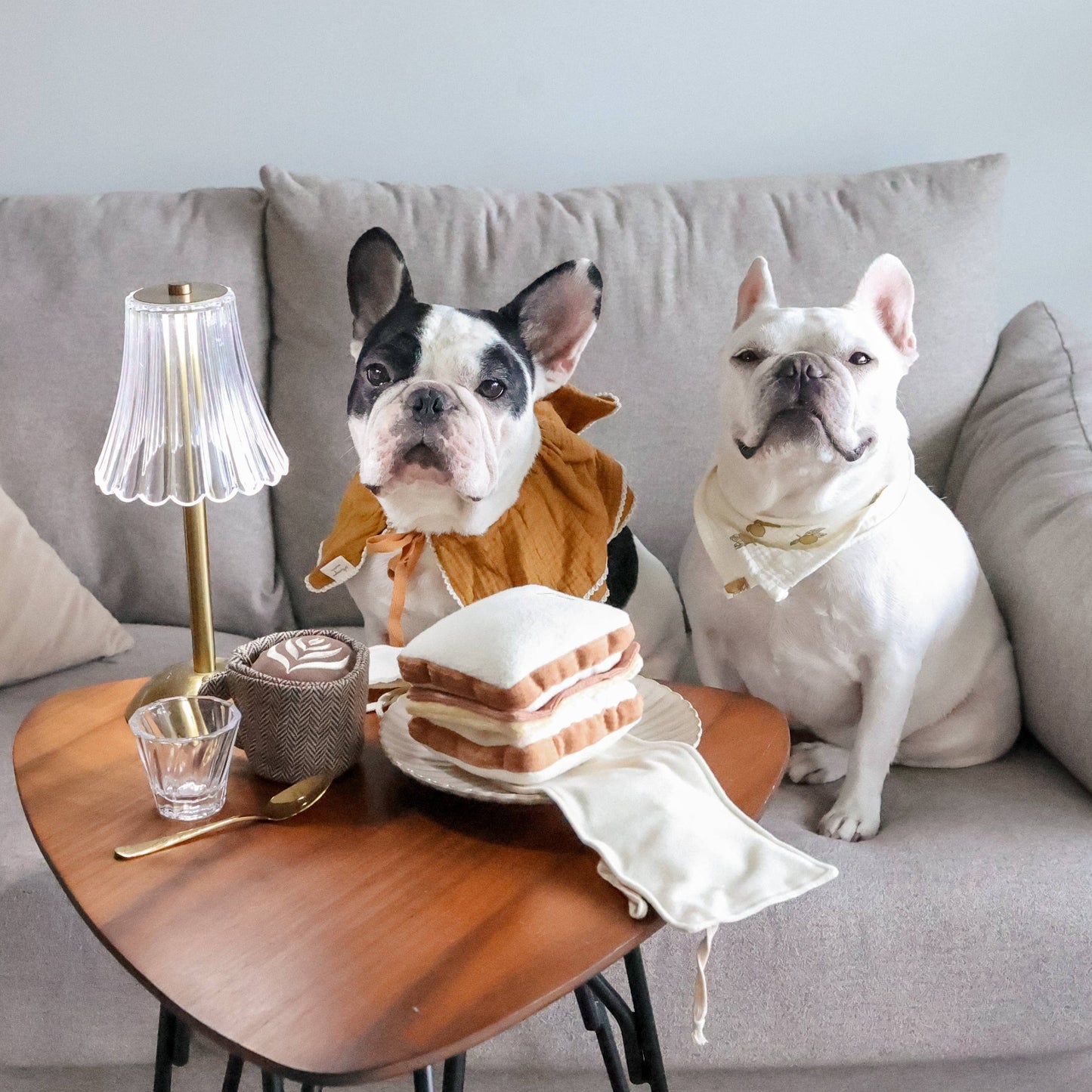 Latte Pop Enrichment Dog Toy