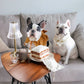 Latte Pop Enrichment Dog Toy