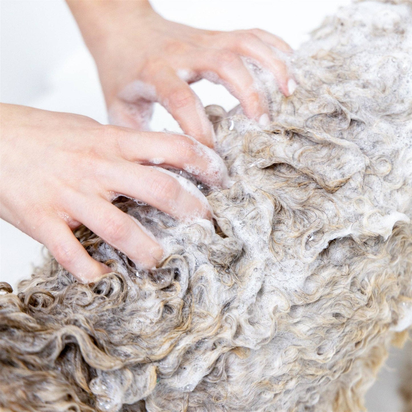 Dog Shampoo 2 in1 For Itching, Conditioning and Smelly Dogs