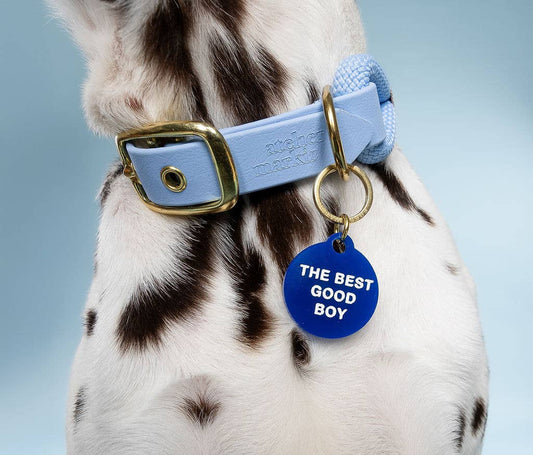 The Best Good Boy Pet Tag