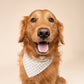 Polka Dot Green Dog Bandana