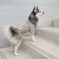 Chelsea Dog Shirt