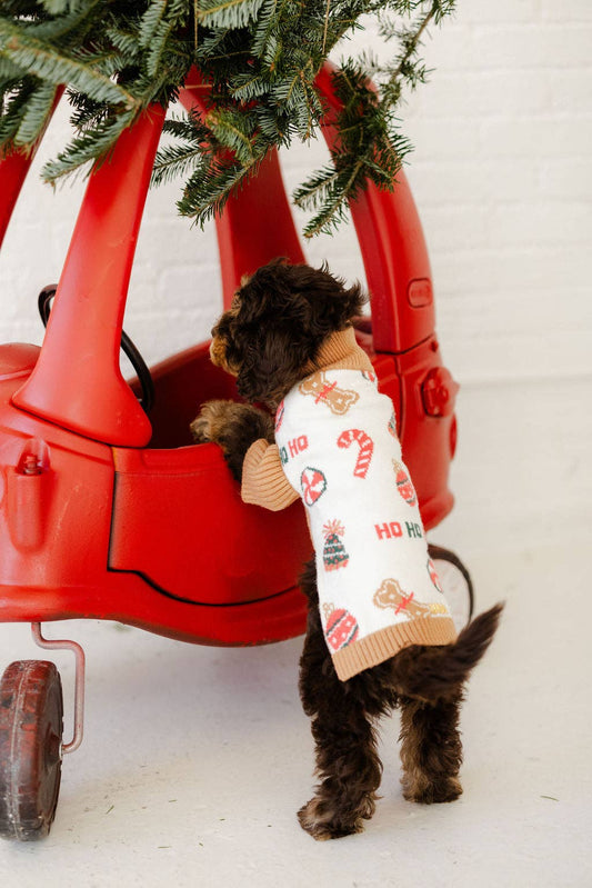 Holly Jingles Dog Sweater