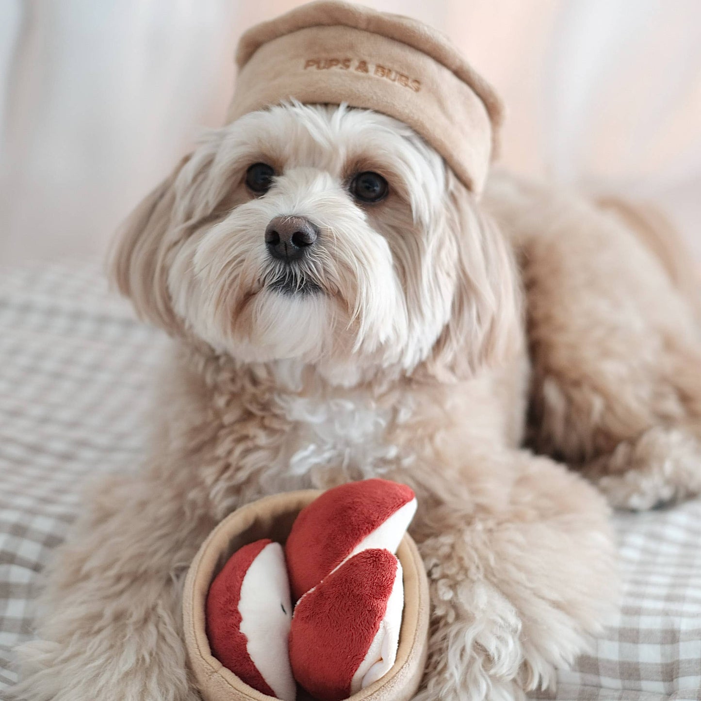 Apple Pie Nosework Toy
