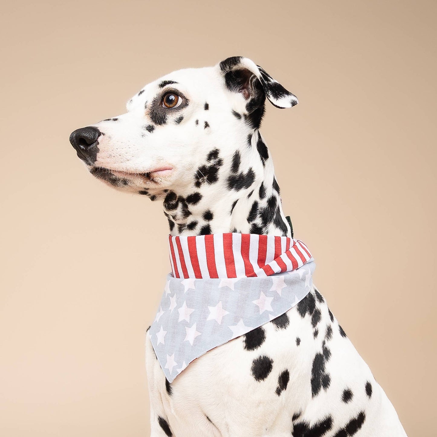 National Dog Bandana