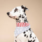 National Dog Bandana