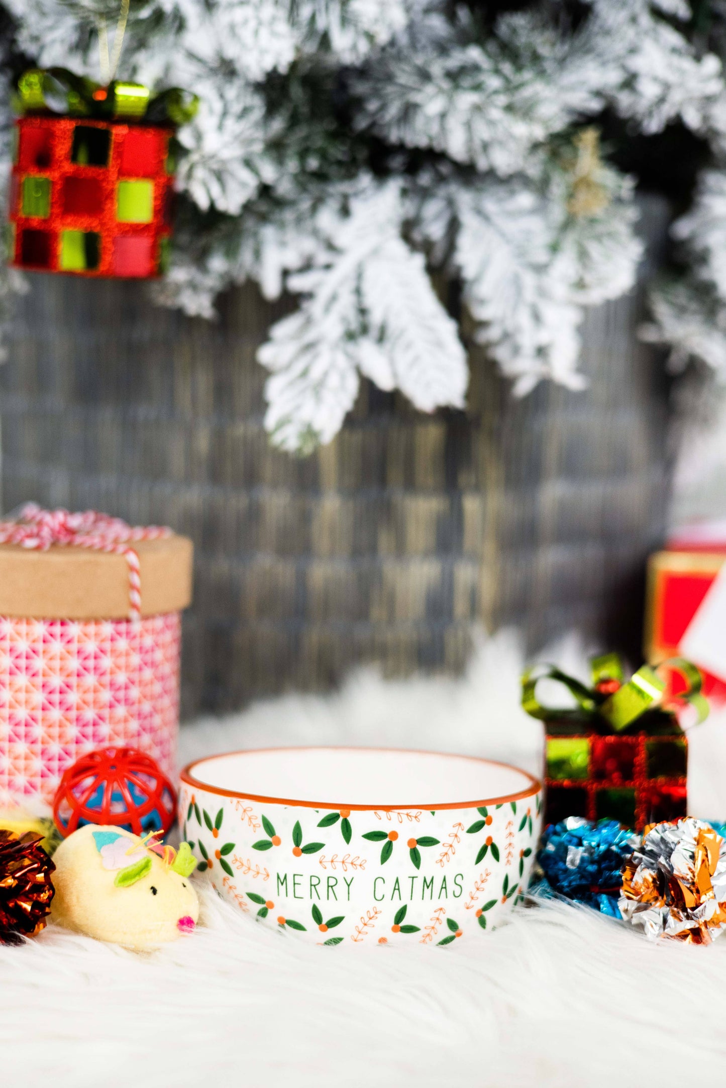 Merry Catmas, Cat Holiday And Christmas Feeding Bowl