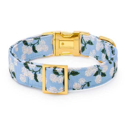 Rifle Paper Co. x TFD Hydrangea Dog Collar