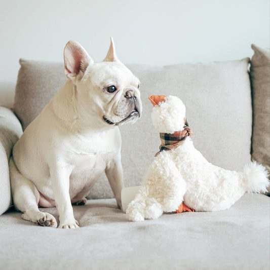 Gus the Goose Enrichment Dog Toy