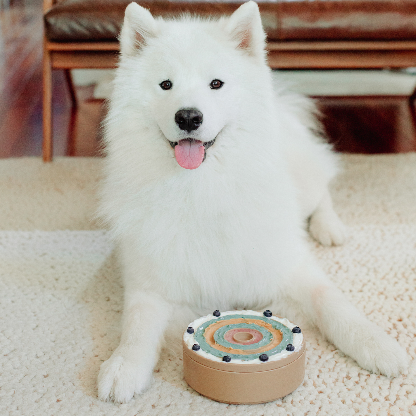 3-IN-1 Bento Bowl