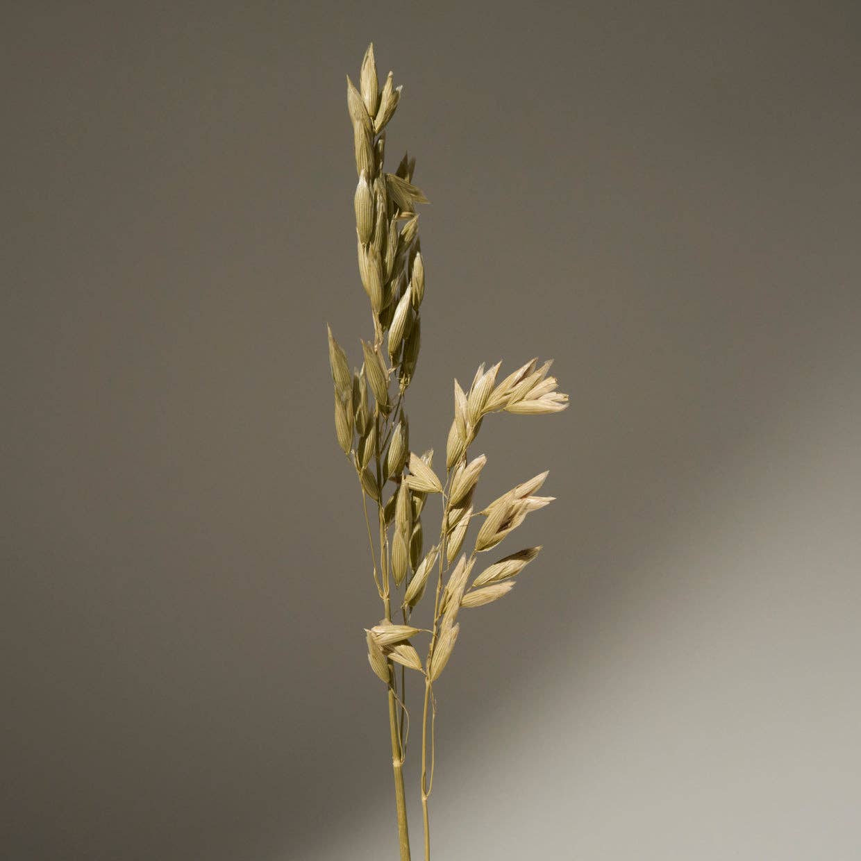 Dry shampoo on-the-go